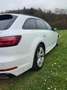 Audi A4 40 TDI sport Weiß - thumbnail 11