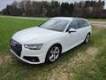 Audi A4 40 TDI sport Weiß - thumbnail 1