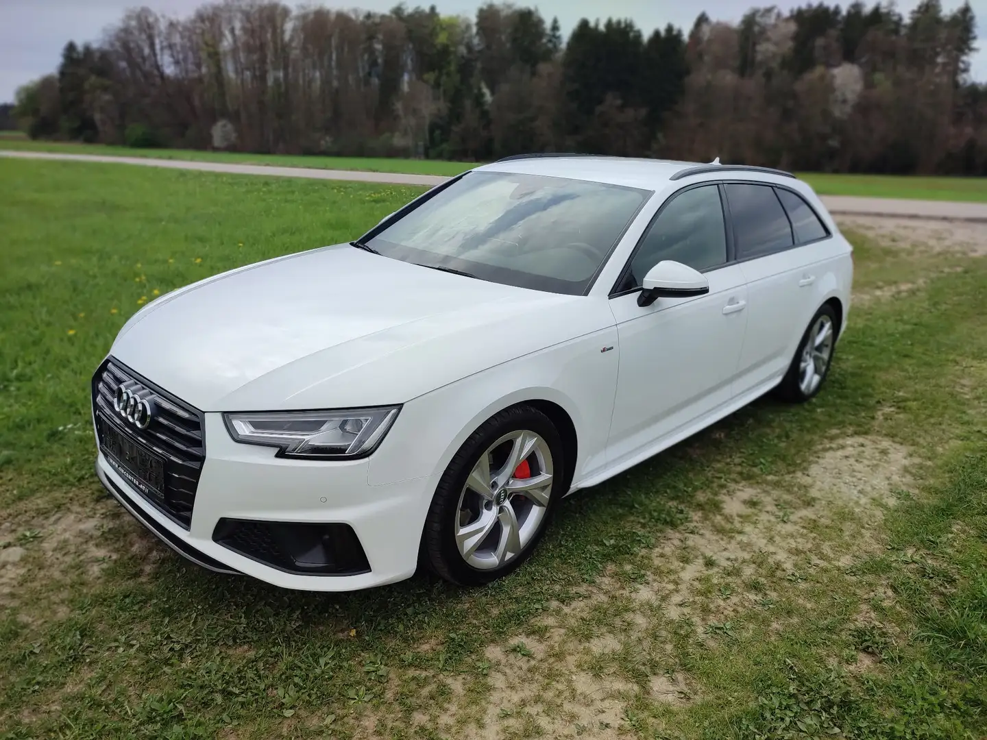 Audi A4 40 TDI sport Weiß - 1