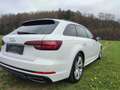 Audi A4 40 TDI sport Weiß - thumbnail 20