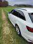 Audi A4 40 TDI sport Weiß - thumbnail 15