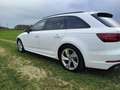 Audi A4 40 TDI sport Weiß - thumbnail 6