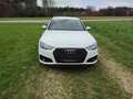 Audi A4 40 TDI sport Weiß - thumbnail 10
