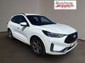 Ford Kuga 2,5 Duratec Hybrid ST-Line X AT Weiß - thumbnail 17