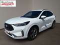 Ford Kuga 2,5 Duratec Hybrid ST-Line X AT Weiß - thumbnail 2