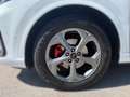 Ford Kuga 2,5 Duratec Hybrid ST-Line X AT Weiß - thumbnail 4