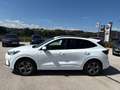 Ford Kuga 2,5 Duratec Hybrid ST-Line X AT Weiß - thumbnail 21