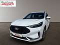 Ford Kuga 2,5 Duratec Hybrid ST-Line X AT Weiß - thumbnail 1