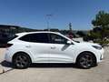 Ford Kuga 2,5 Duratec Hybrid ST-Line X AT Weiß - thumbnail 20