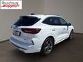 Ford Kuga 2,5 Duratec Hybrid ST-Line X AT Weiß - thumbnail 14