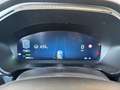 Ford Kuga 2,5 Duratec Hybrid ST-Line X AT Weiß - thumbnail 5