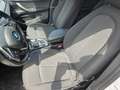 BMW X2 xDrive25e Business-X Bianco - thumbnail 7