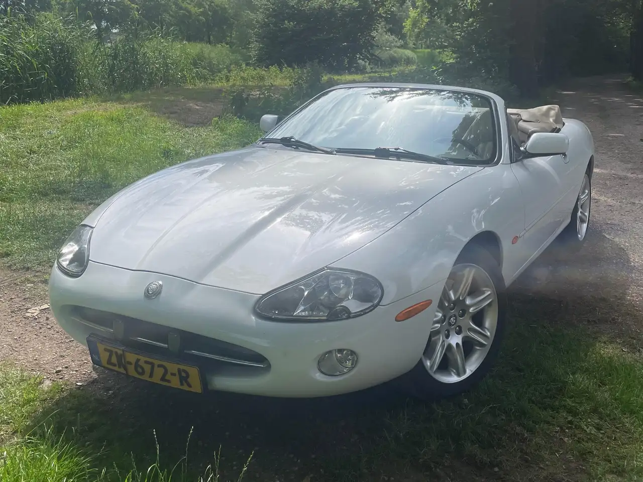 Jaguar XK8