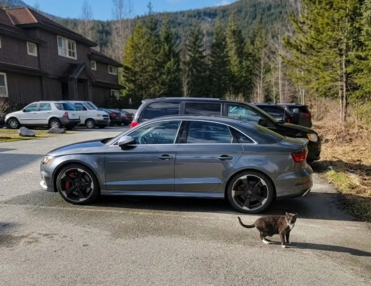 Audi RS3 снимка Audi RS3