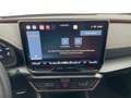 CUPRA Formentor 1.5 e-TSI 150 PS DSG Schwarz - thumbnail 20