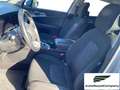 Kia Sportage Sportage 1.6 CRDI 136 CV DCT7 2WD Mild Hybrid Sty Argento - thumbnail 2