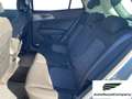 Kia Sportage Sportage 1.6 CRDI 136 CV DCT7 2WD Mild Hybrid Sty Argento - thumbnail 7