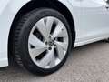 Volkswagen Golf Variant 2,0 TDI Style DSG | NP € 42.800 Weiß - thumbnail 37