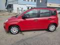 Fiat Panda 1.2 easypower Easy Gpl 69cv Rojo - thumbnail 4