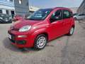 Fiat Panda 1.2 easypower Easy Gpl 69cv Rojo - thumbnail 3