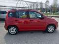 Fiat Panda 1.2 easypower Easy Gpl 69cv Rojo - thumbnail 8
