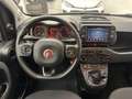 Fiat Panda 1.0 FireFly S&S Hybrid City Cross Weiß - thumbnail 7