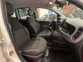 Fiat Panda 1.0 FireFly S&S Hybrid City Cross Weiß - thumbnail 9