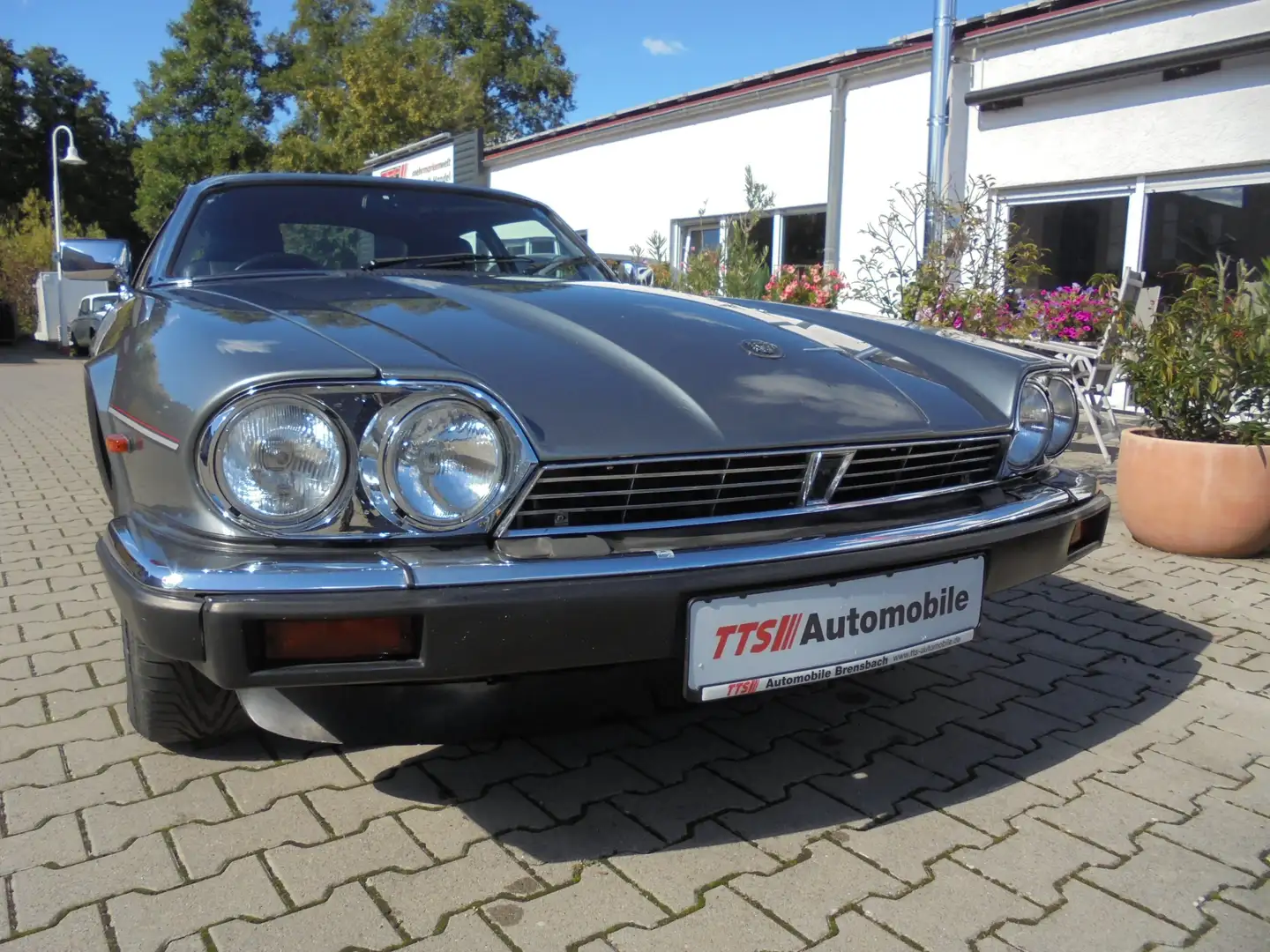 Jaguar XJS 3.6 Gris - 2