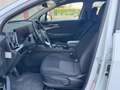 Kia Sportage 1.6 TGDi HEV AT Style Unicoproprietario Grau - thumbnail 13