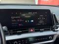 Kia Sportage 1.6 TGDi HEV AT Style Unicoproprietario Grau - thumbnail 22