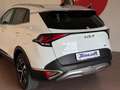 Kia Sportage 1.6 TGDi HEV AT Style Unicoproprietario Grau - thumbnail 40