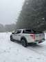 Fiat Fullback 2.4 doppia cabina LX Cross 4wd s&s 180cv my18 Gris - thumbnail 19