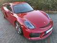 Porsche Cayman Cayman GT4 Rot - thumbnail 1