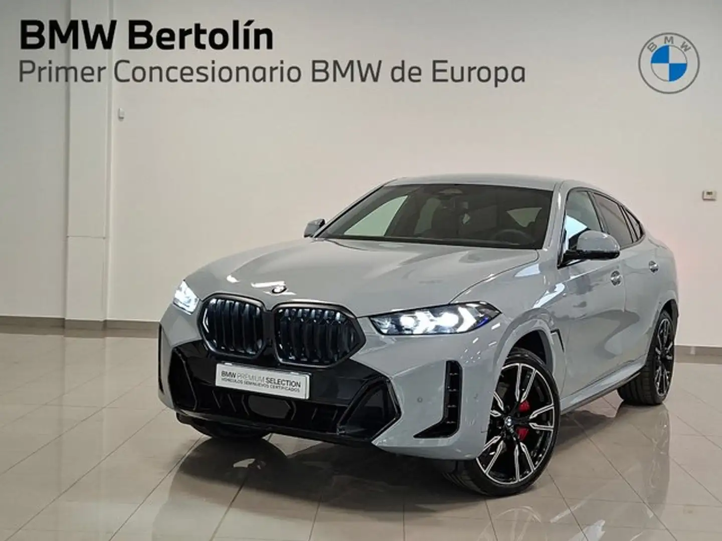 BMW X6 xDrive 30dA M Sport Gris - 1