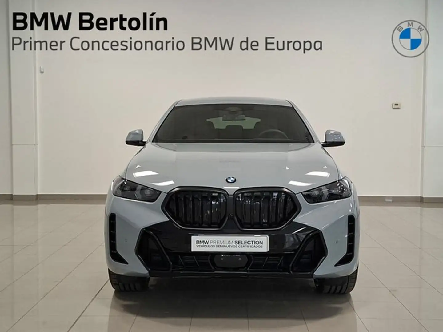 BMW X6 xDrive 30dA M Sport Gris - 2