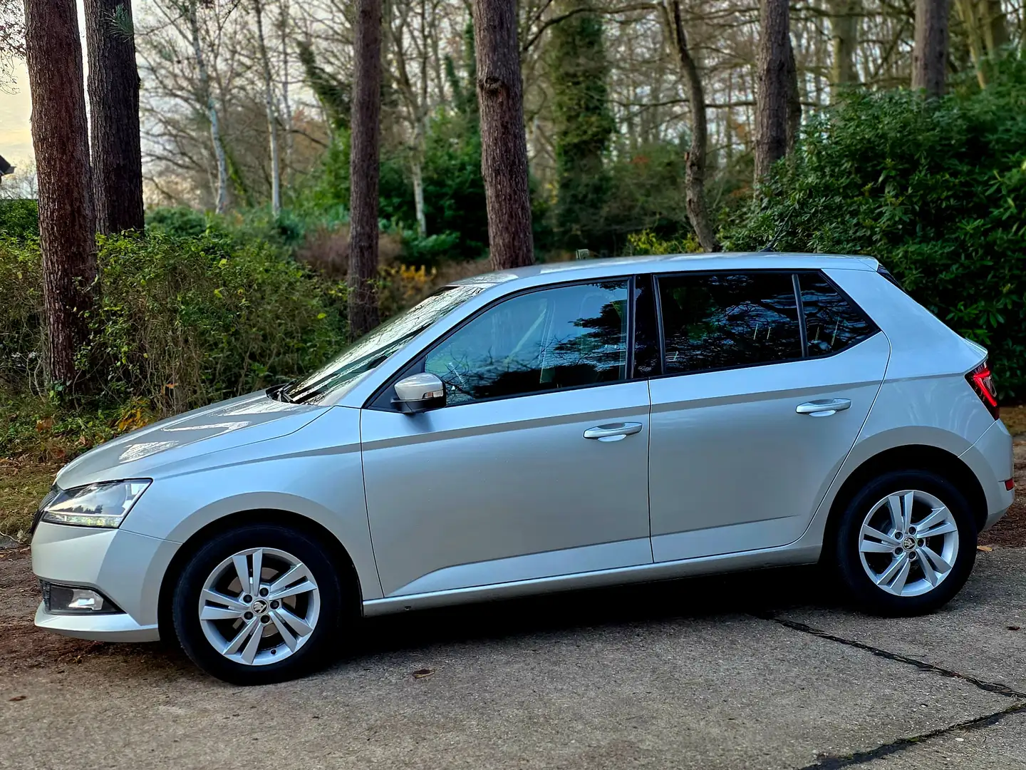 Skoda Fabia Fabia 1.0 TSI Ambition Grey - 2