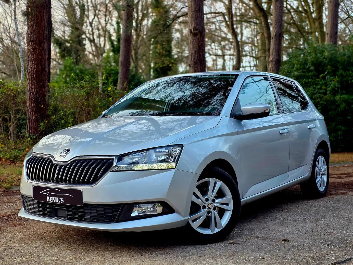Skoda Fabia Fabia 1.0 TSI Ambition Grey - 1