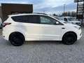 Ford Kuga 1.5 TDCi Automatique ST-Line  FULL OPTIONS Bianco - thumbnail 5