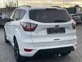Ford Kuga 1.5 TDCi Automatique ST-Line  FULL OPTIONS Bianco - thumbnail 8