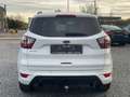 Ford Kuga 1.5 TDCi Automatique ST-Line  FULL OPTIONS Bianco - thumbnail 7