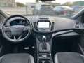Ford Kuga 1.5 TDCi Automatique ST-Line  FULL OPTIONS Bianco - thumbnail 12
