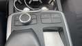 Mercedes-Benz ML 250 ML 250 CDI BlueTec* Euro 6*Anhänger Aut*Tip-Top Schwarz - thumbnail 15