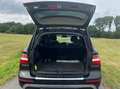 Mercedes-Benz ML 250 ML 250 CDI BlueTec* Euro 6*Anhänger Aut*Tip-Top Schwarz - thumbnail 4