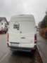 Volkswagen Crafter Crafter 35 TDI 35 TDI Weiß - thumbnail 2