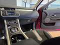 Land Rover Range Rover Evoque Range Rover Evoque 5p 2.2 td4 Pure Tech Pack 150cv auto 9m Rosso - thumbnail 15