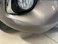 Toyota Yaris 5p 1.0 Business - PROMO Grigio - thumbnail 26