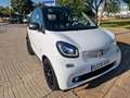smart forTwo Cabrio 66 Passion Aut. Blanco - thumbnail 23