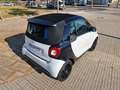 smart forTwo Cabrio 66 Passion Aut. Blanco - thumbnail 15