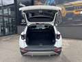Hyundai TUCSON Tucson 1,6 T-GDI Plug-In Hybrid 4WD Trend Line ... Weiß - thumbnail 8
