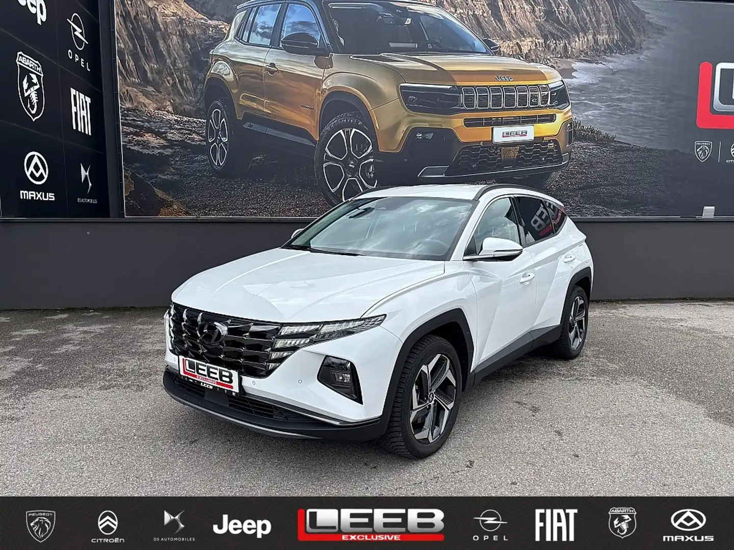 Hyundai TUCSON Tucson 1,6 T-GDI Plug-In Hybrid 4WD Trend Line ... Weiß - 1